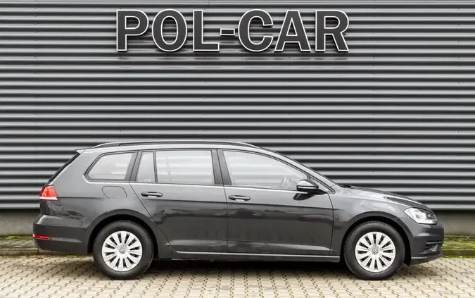 Volkswagen Golf cena 54900 przebieg: 111461, rok produkcji 2019 z Wojcieszów małe 232